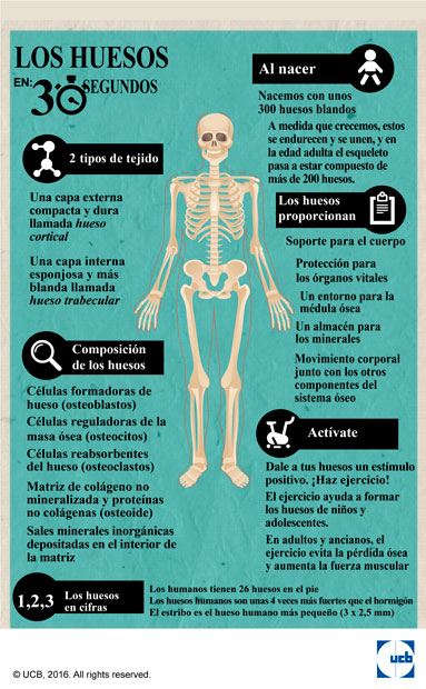 InfografiaOsteoporosis